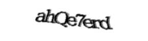 Security check image, please type the characters shown