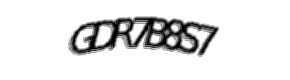 Security check image, please type the characters shown